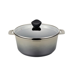 24cm Cast Aluminum Casserole With High-Temperature Painting